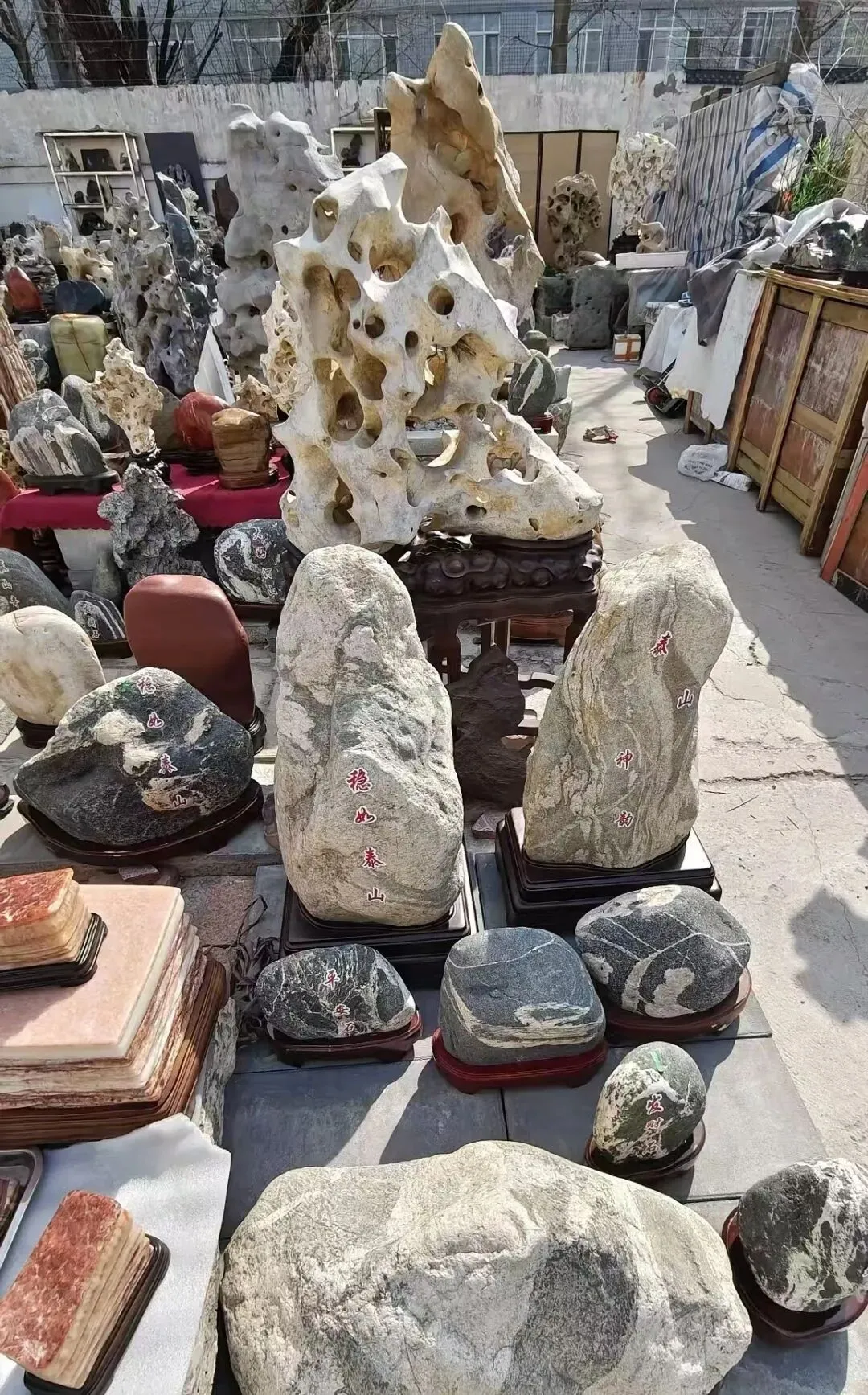 如今市场老了我也老了