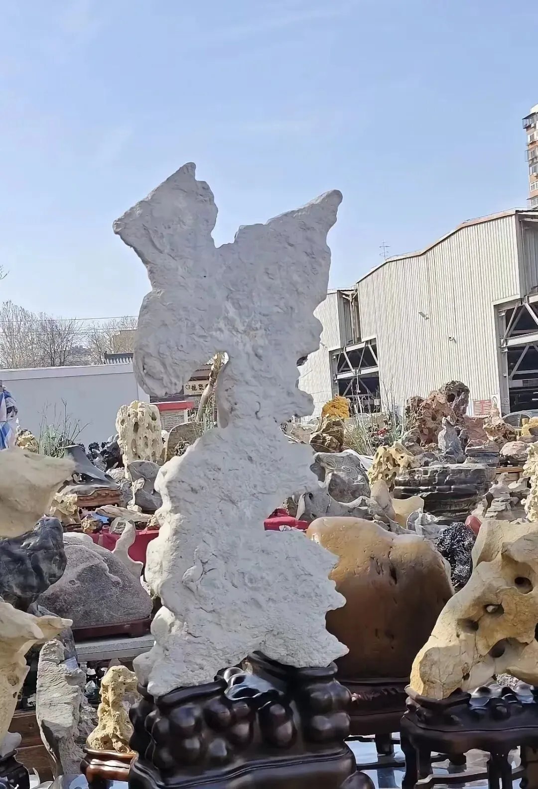 如今市场老了我也老了