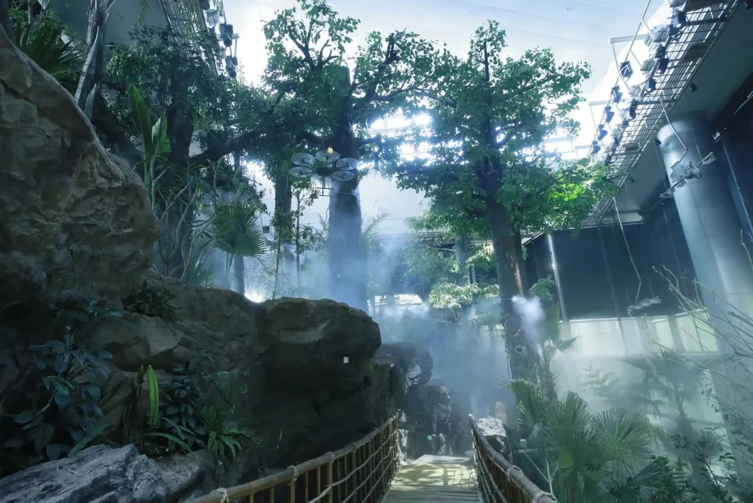 浦东文旅市场持续升温,春假清明假期带动客流明显增长