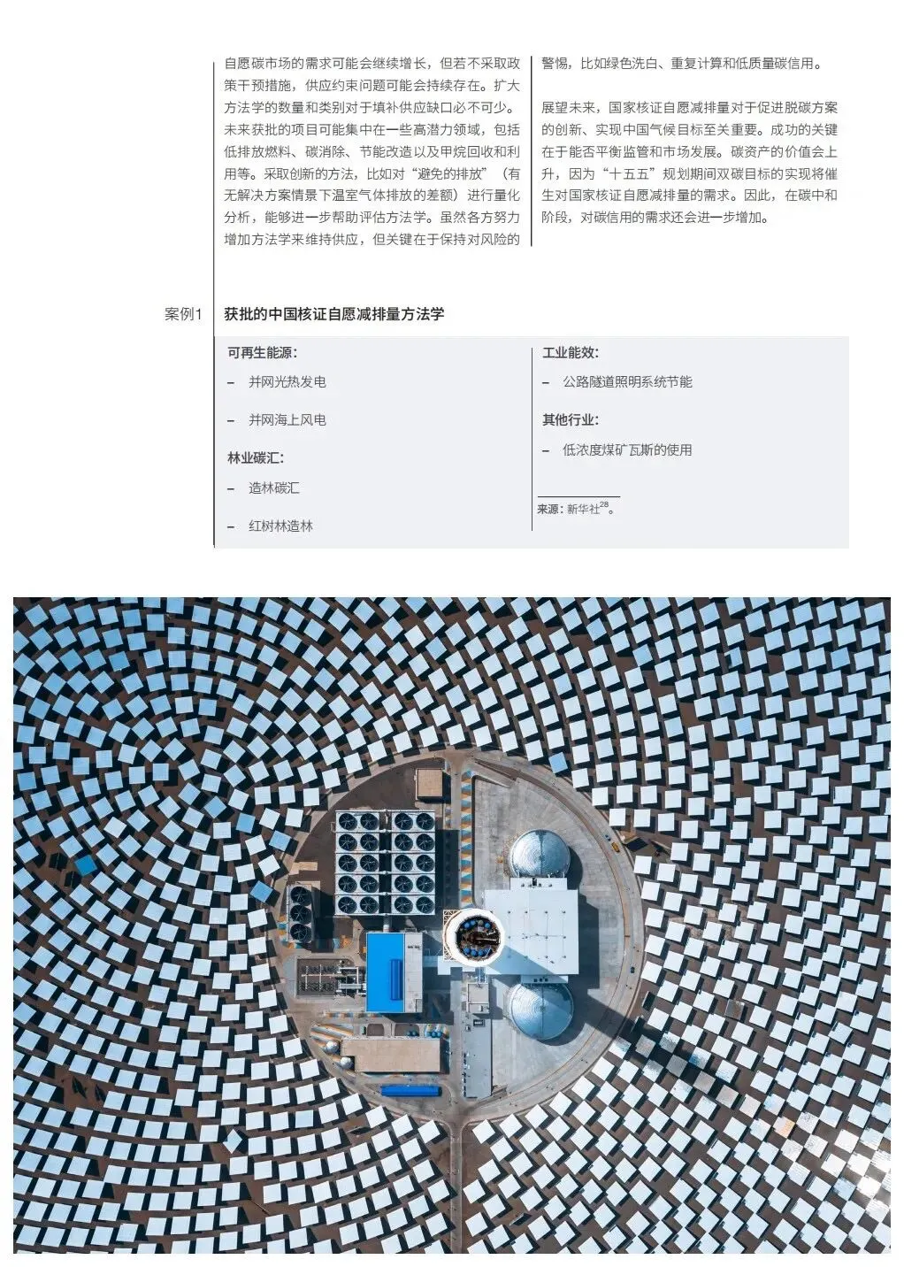 亚洲碳市场企业战略