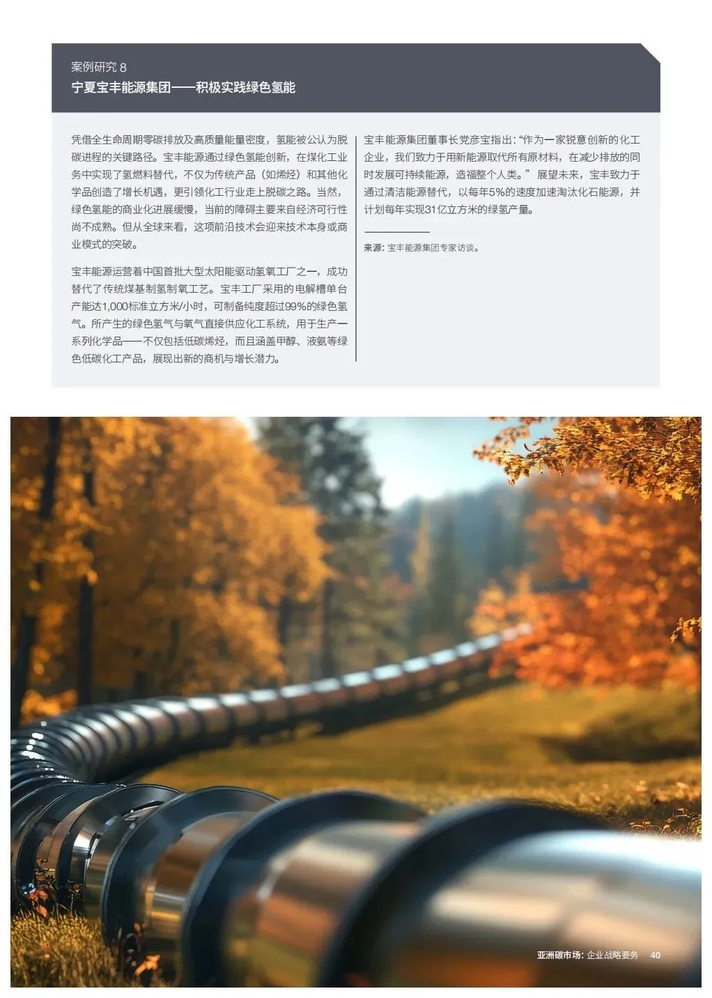 亚洲碳市场企业战略