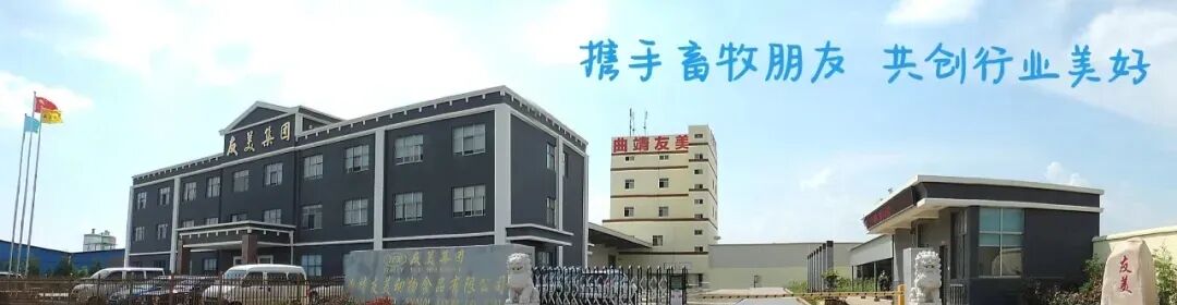 抓住“鸡”遇,把握牛运,科学营销,逆势增长