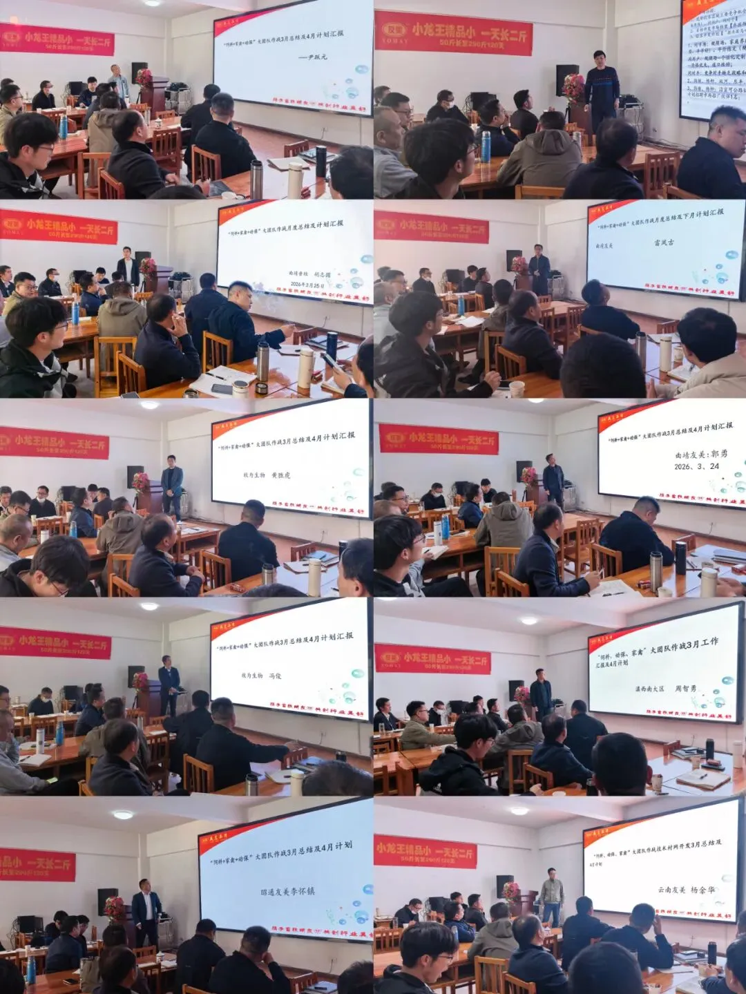 抓住“鸡”遇,把握牛运,科学营销,逆势增长