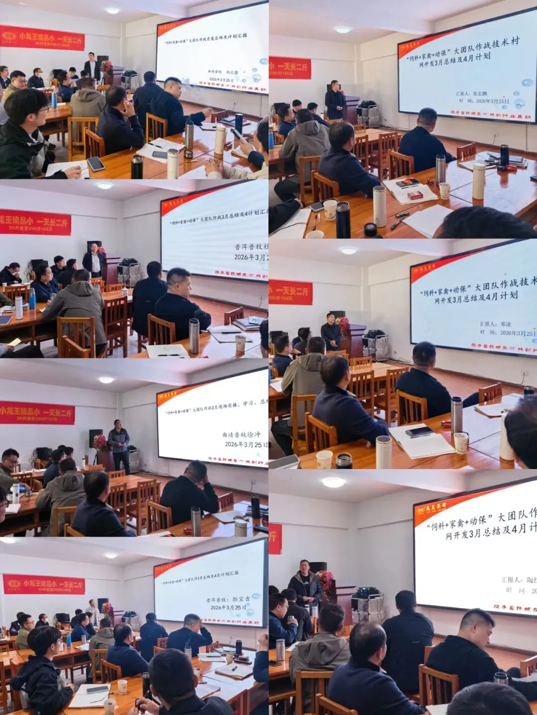 抓住“鸡”遇,把握牛运,科学营销,逆势增长