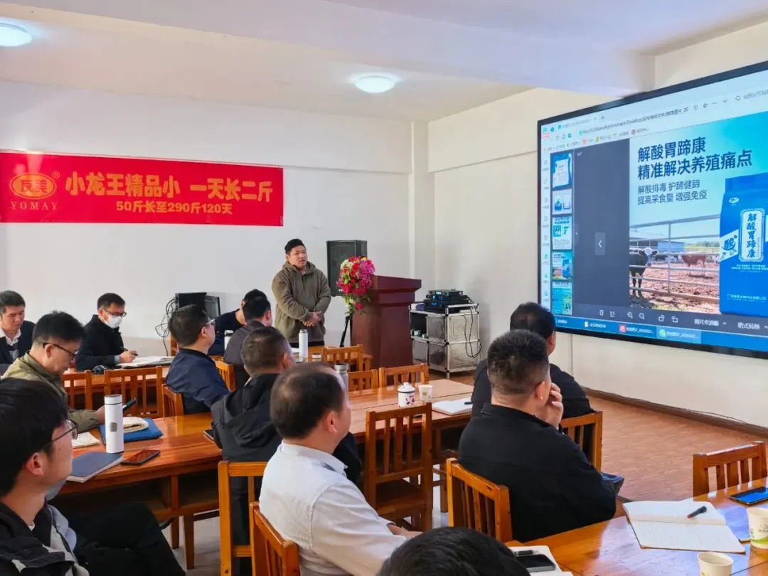 抓住“鸡”遇,把握牛运,科学营销,逆势增长