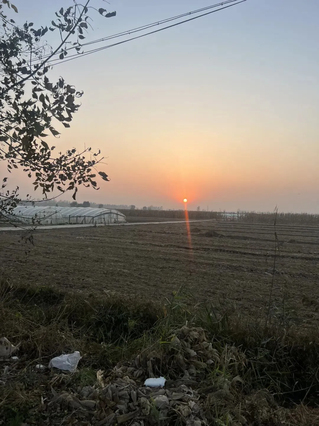 青岛保时捷女销售再夺2026年第一季度销冠