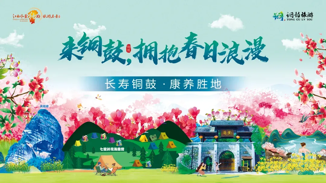 白天采摘茶场 凌晨江浙市场 铜鼓明前茶极速“抢鲜”