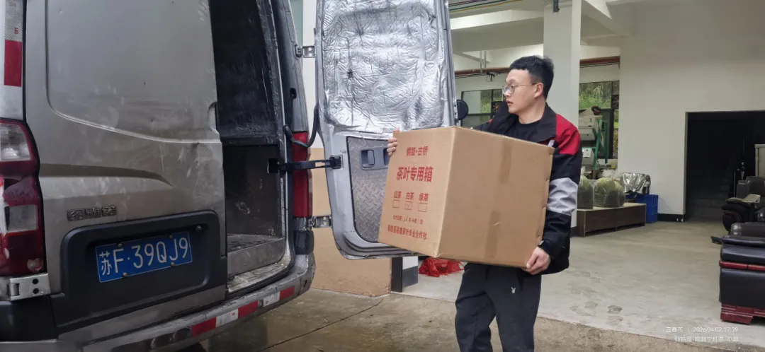 白天采摘茶场 凌晨江浙市场 铜鼓明前茶极速“抢鲜”