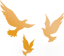 中国共产党国网西藏营销服务中心第二次党员大会顺利召开