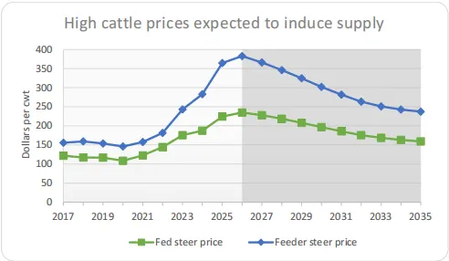 美国牛肉市场2026-2035年展望:2026年是未来10年最高点,高价格、低供应与进口依赖的博弈