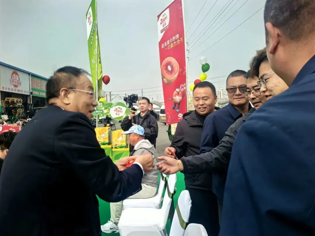 【市场新闻】年度如约!2026佳沛奇异果开柜盛典新发地启幕