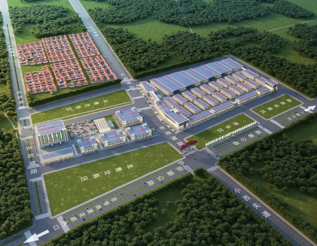 【市场新闻】年度如约!2026佳沛奇异果开柜盛典新发地启幕