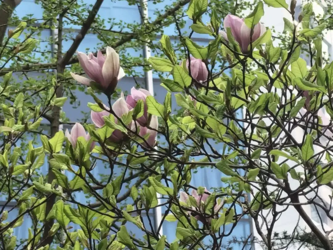 帝都40+中女:如何让自己持续有市场价值?