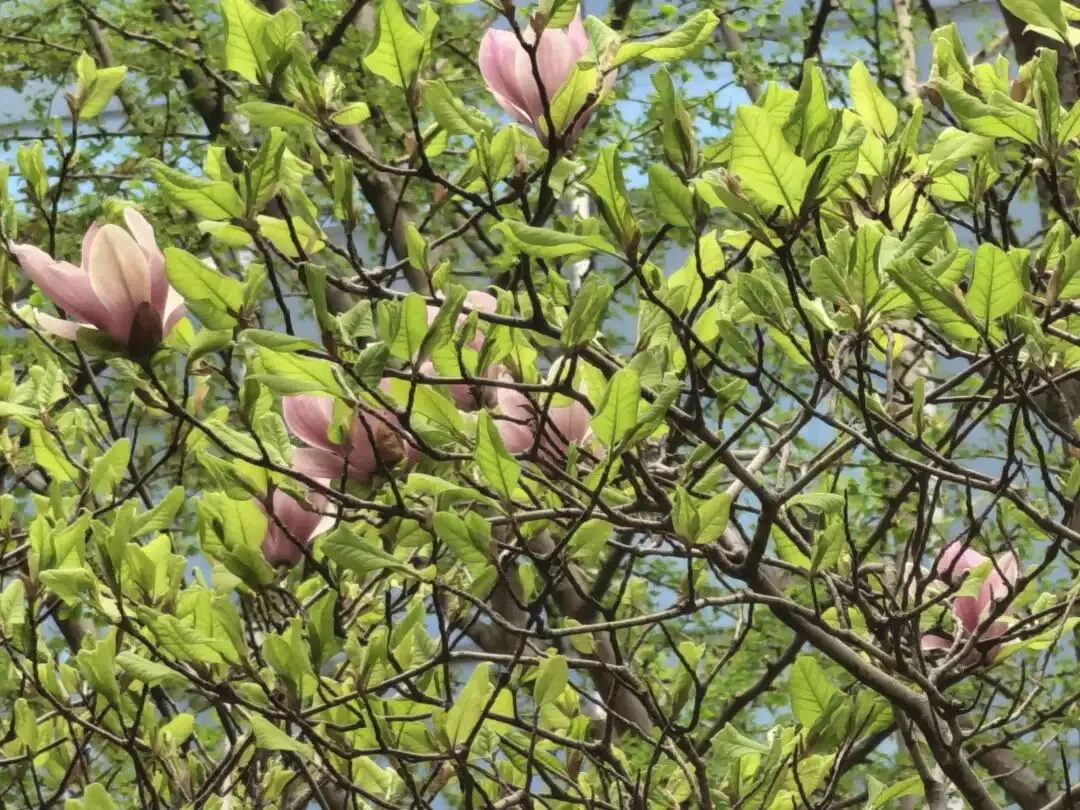 帝都40+中女:如何让自己持续有市场价值?