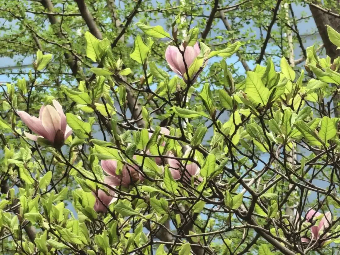 帝都40+中女:如何让自己持续有市场价值?