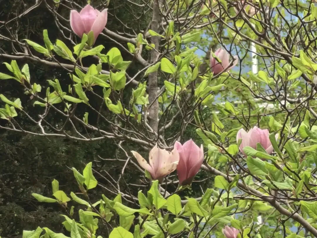 帝都40+中女:如何让自己持续有市场价值?