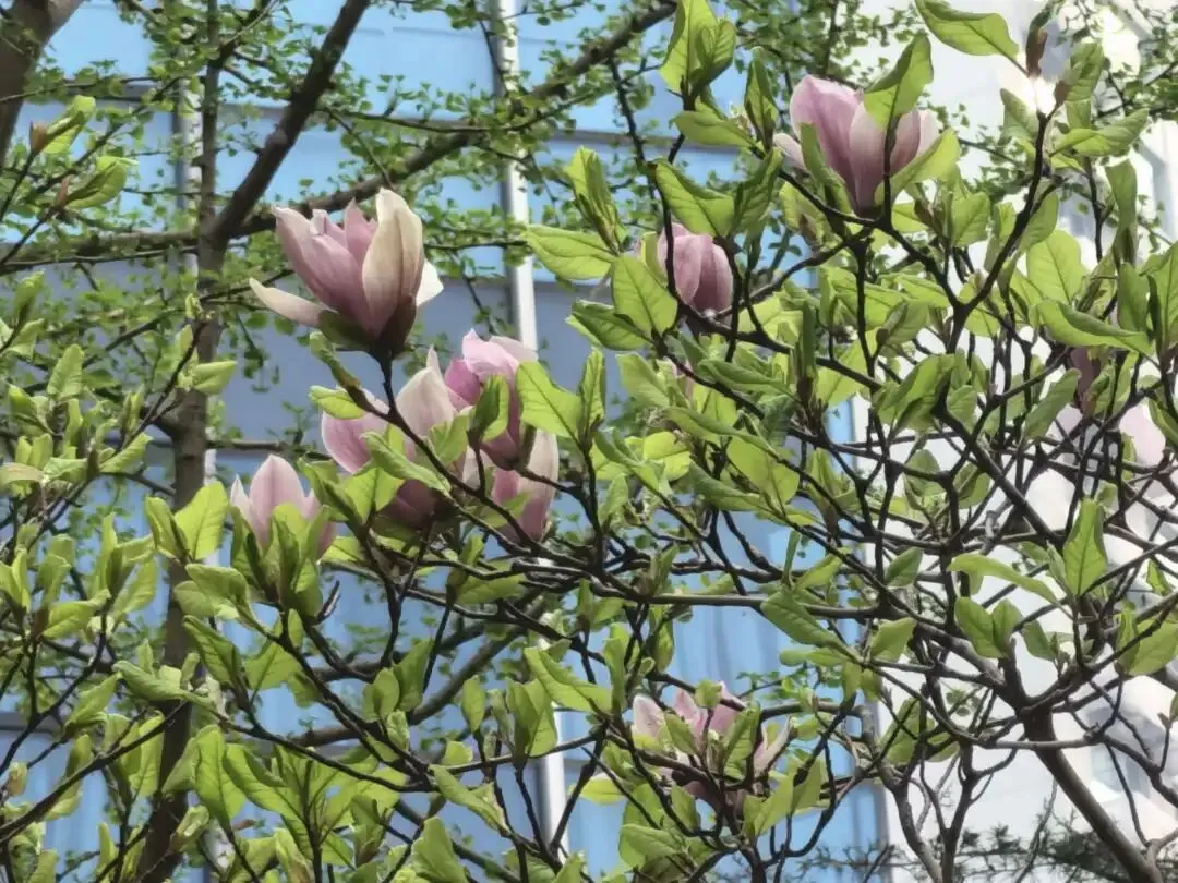 帝都40+中女:如何让自己持续有市场价值?