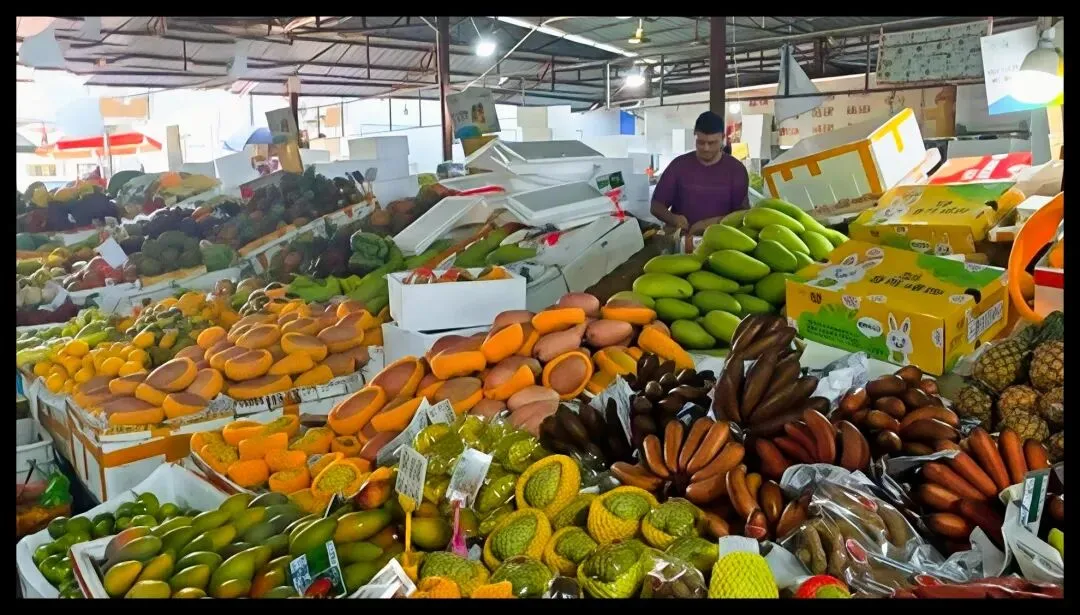 逛一次海南水果市场,才懂什么叫真正的「水果自由」