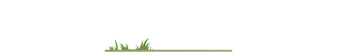 沐泽党建 | 诚邀您加入「小市场 大梦想」公益联盟 凝聚微光 温暖整座城