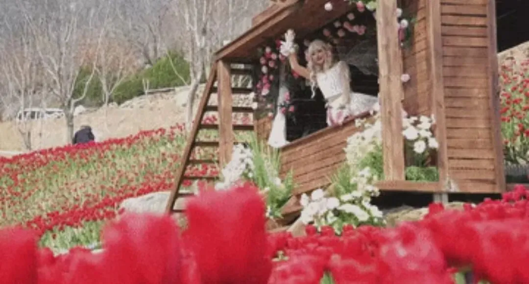 旅游市场上的沉浸式体验活动为何越来越火爆?