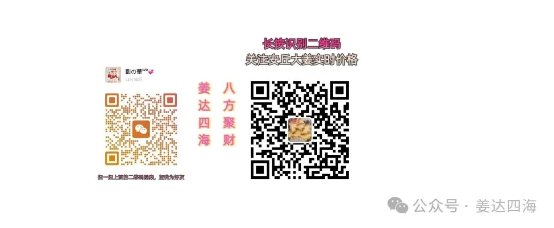 04月04日安丘市场生姜价格 真实市场行情 .货增价稳.【货源渐增,价稳意向放缓】