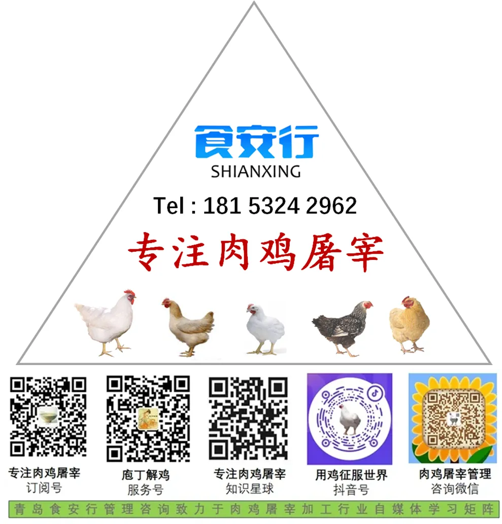 中东冲突持续影响禽类市场