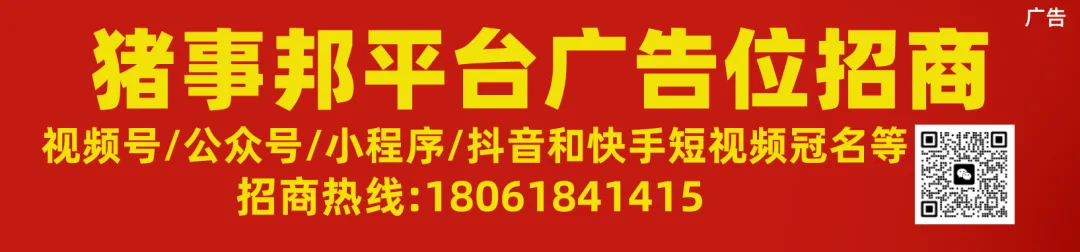 猪价寒冬真相:产能过剩下的市场博弈与行业宿命
