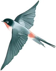 让清明更“清明”——永顺县市场监督管理局开展清明祭祀用品专项检查