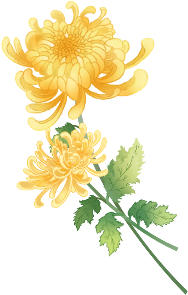 让清明更“清明”——永顺县市场监督管理局开展清明祭祀用品专项检查