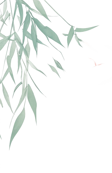 让清明更“清明”——永顺县市场监督管理局开展清明祭祀用品专项检查