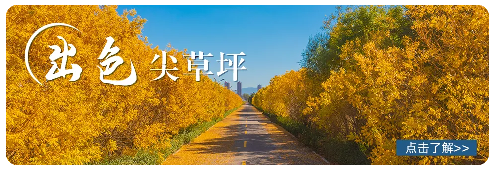 一封信丨尖草坪区市场监督管理局关于规范殡葬服务市场价格秩序的提醒告诫函