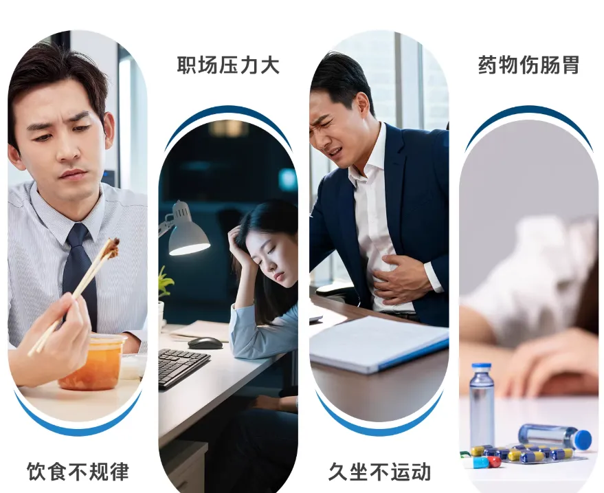 基于2026年市场数据,十大品牌排名全解析,益生菌品牌排名前十,最新排行榜揭晓