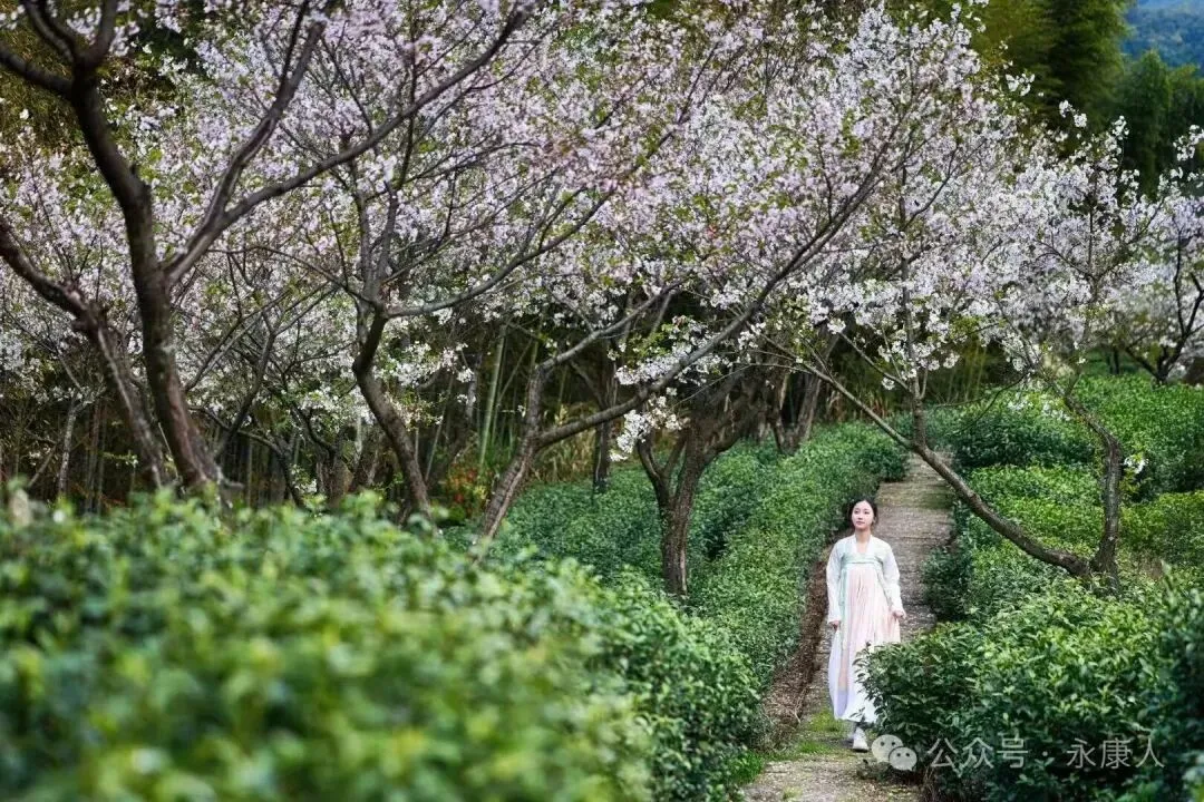 国家市场监督管理总局