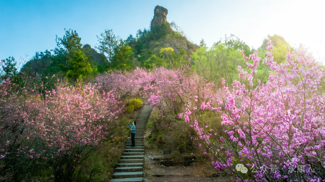 国家市场监督管理总局