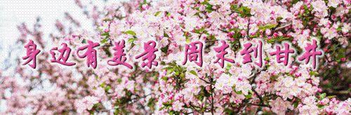 就在大湾市场!都谁偶遇了他们啊?