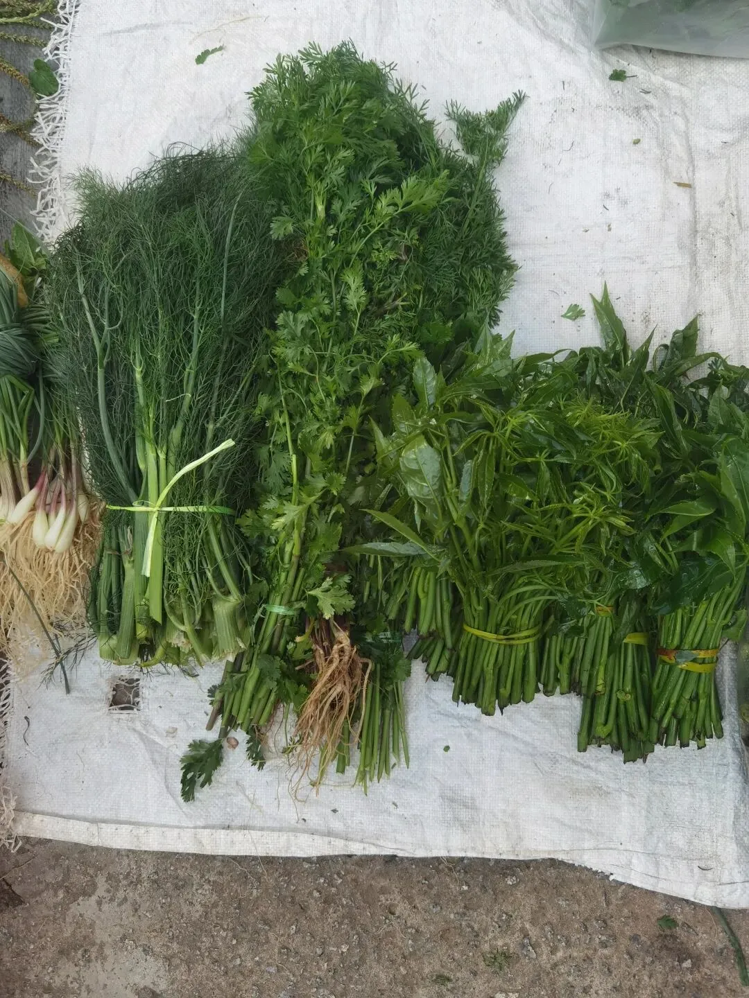 临沧扎路营批发市场里的宝物(之七)