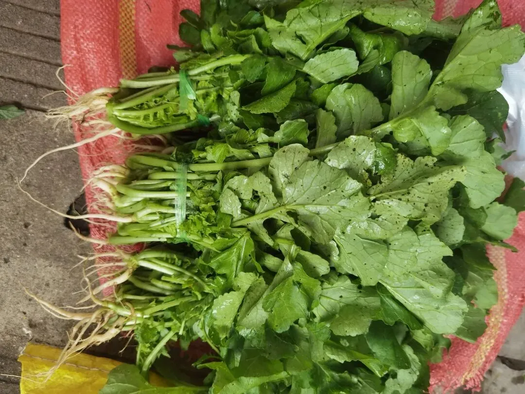 临沧扎路营批发市场里的宝物(之七)