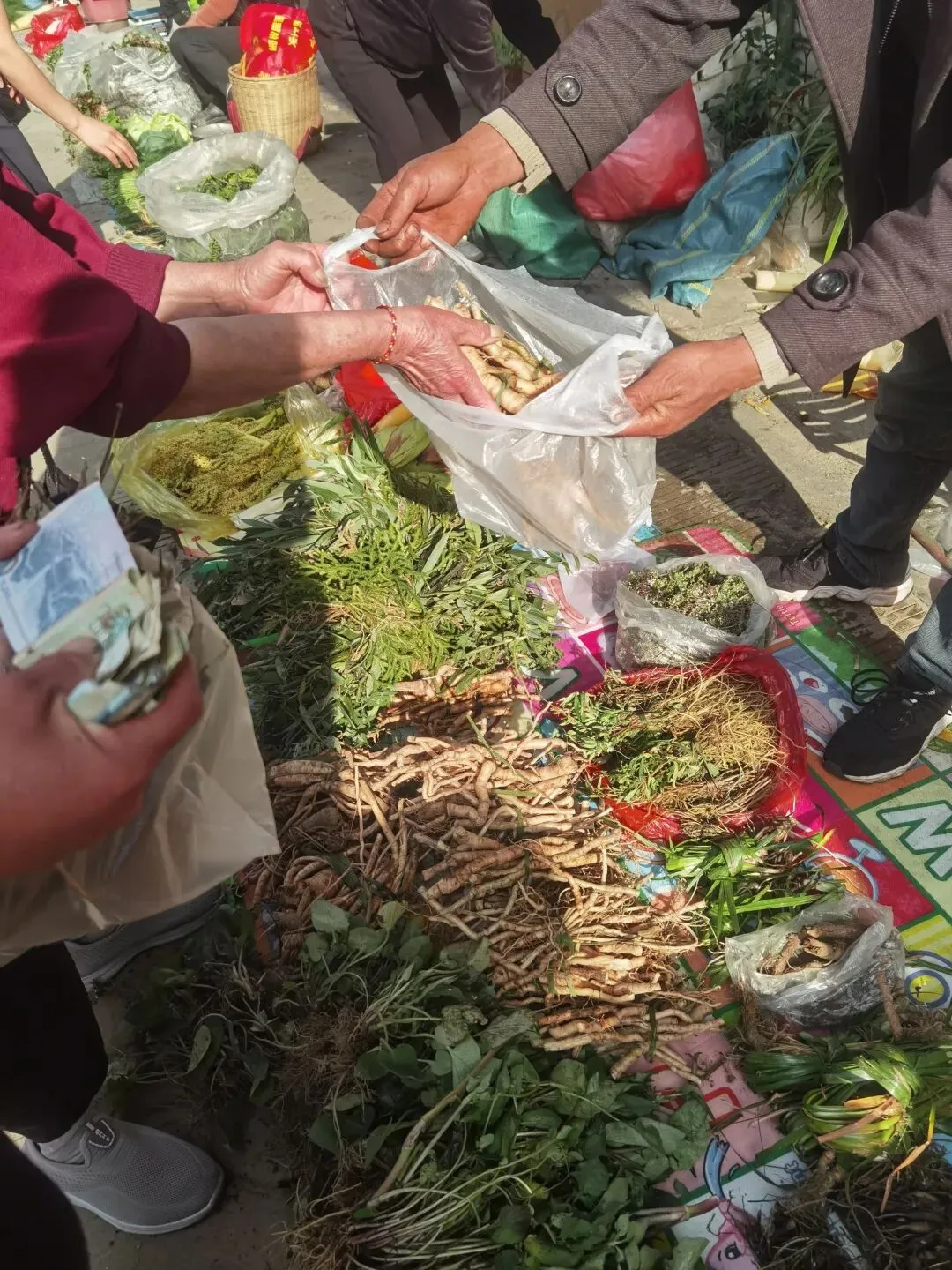 临沧扎路营批发市场里的宝物(之七)