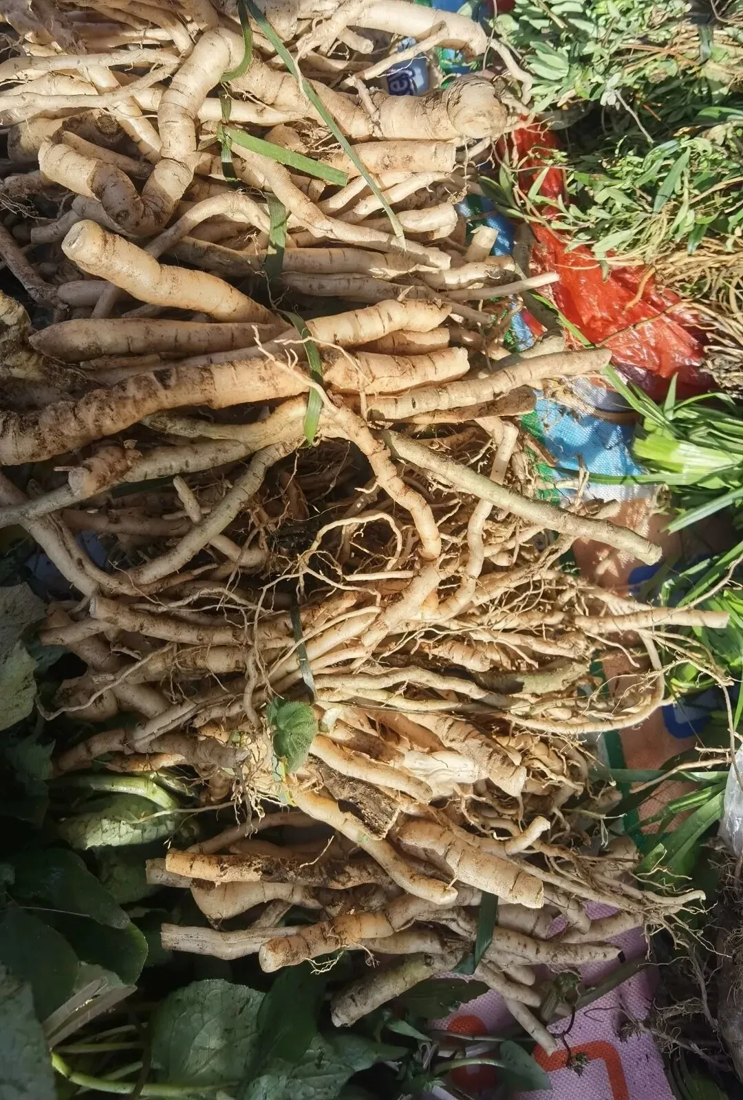 临沧扎路营批发市场里的宝物(之七)