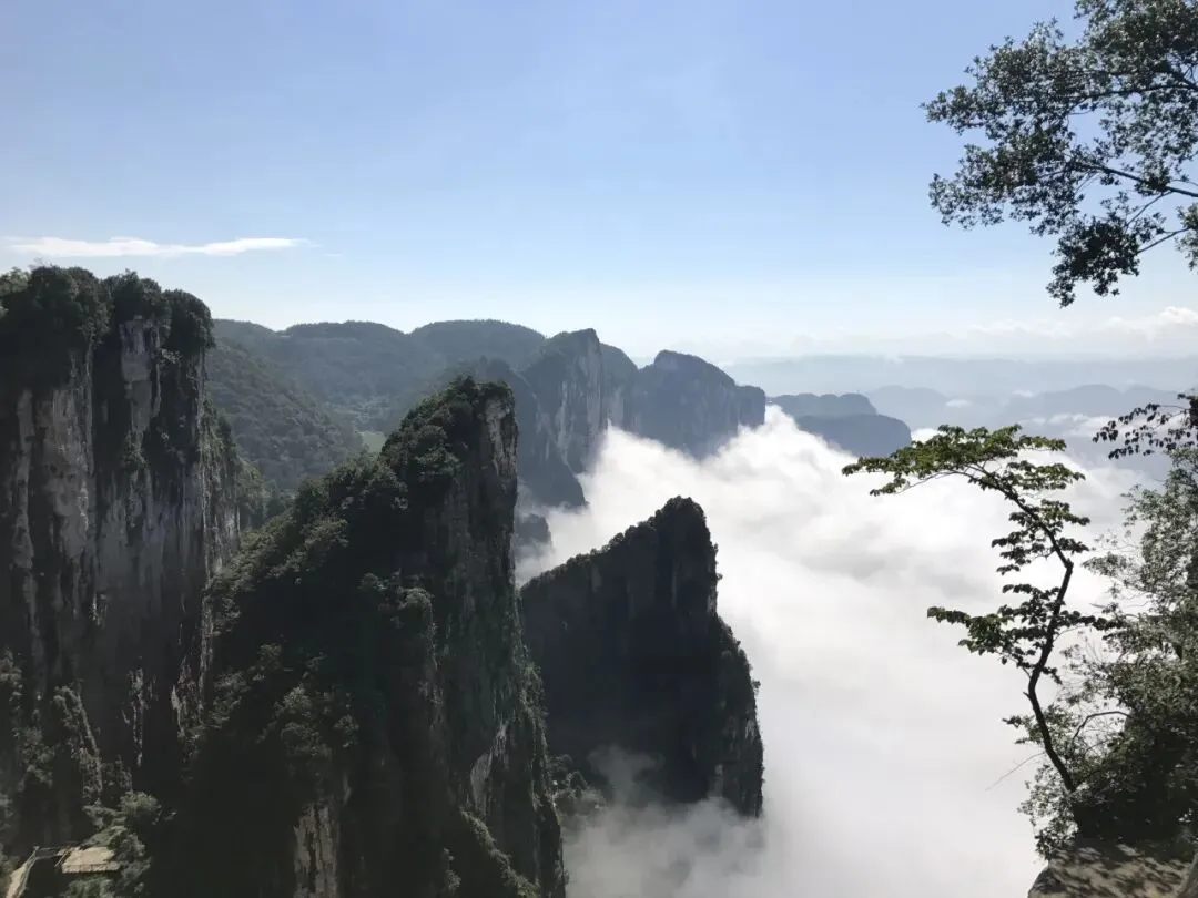 闪耀三城,秘境邀约!恩施四大景区联合营销推介会圆满落幕,邀您共赴鄂西山水之约