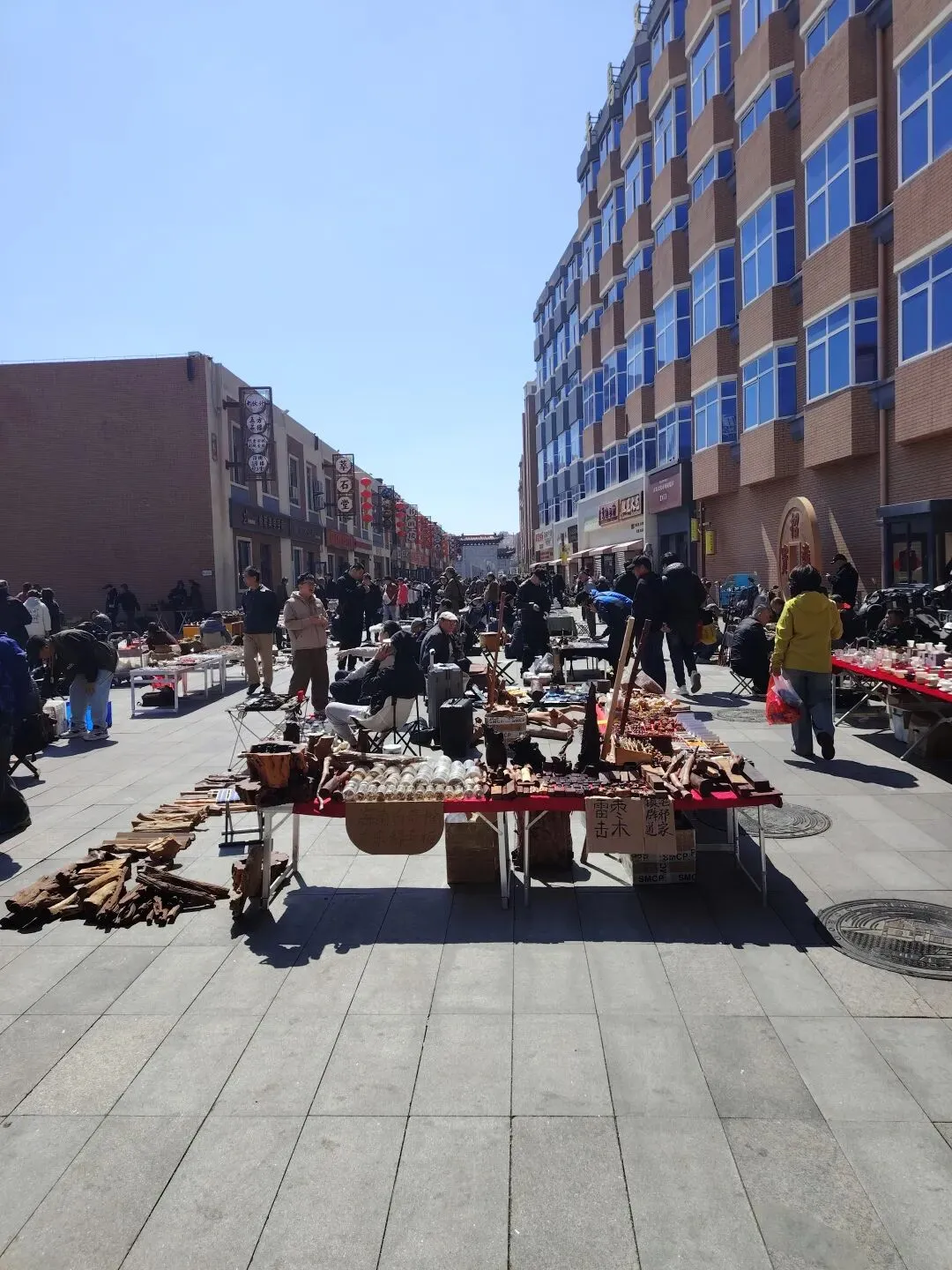 4月4日,清明假期第一天青岛市场惨淡的收获,没有漏捡