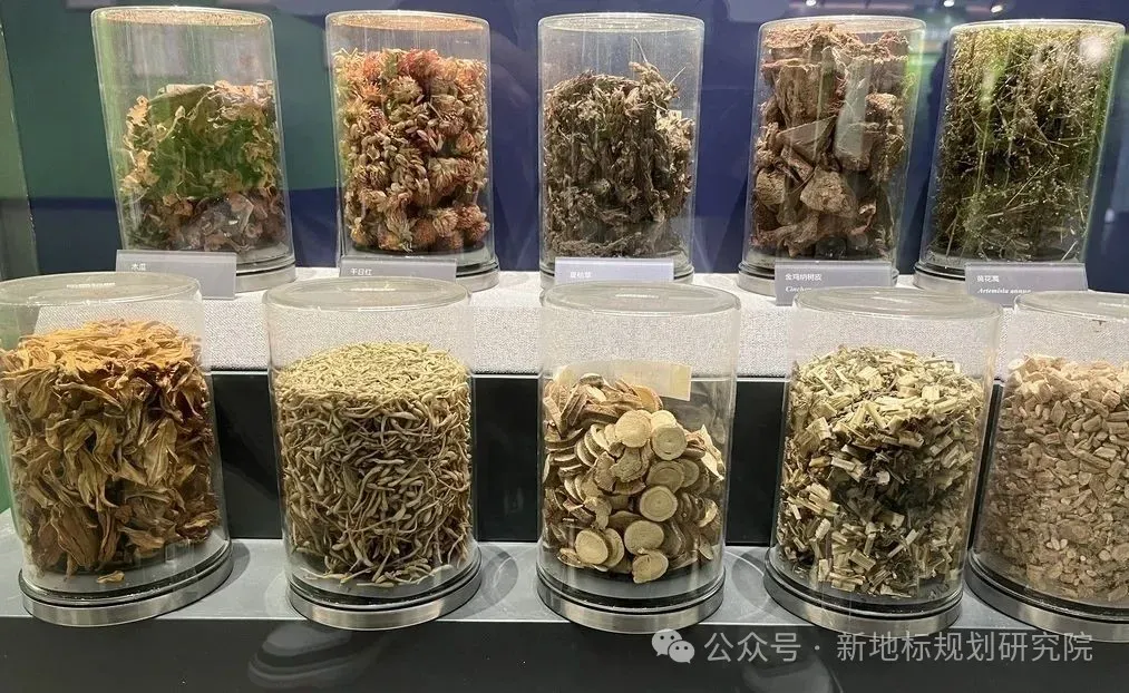 食药用花卉产业的市场前景分析