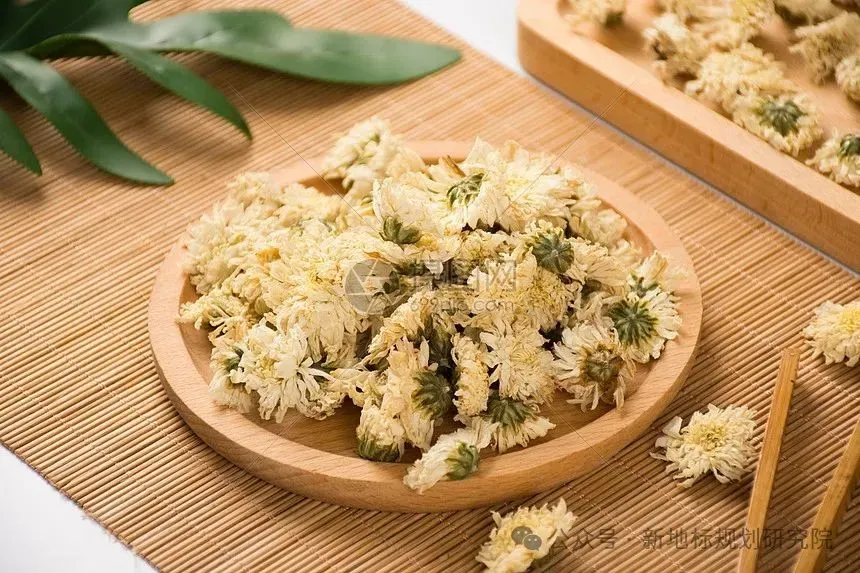 食药用花卉产业的市场前景分析