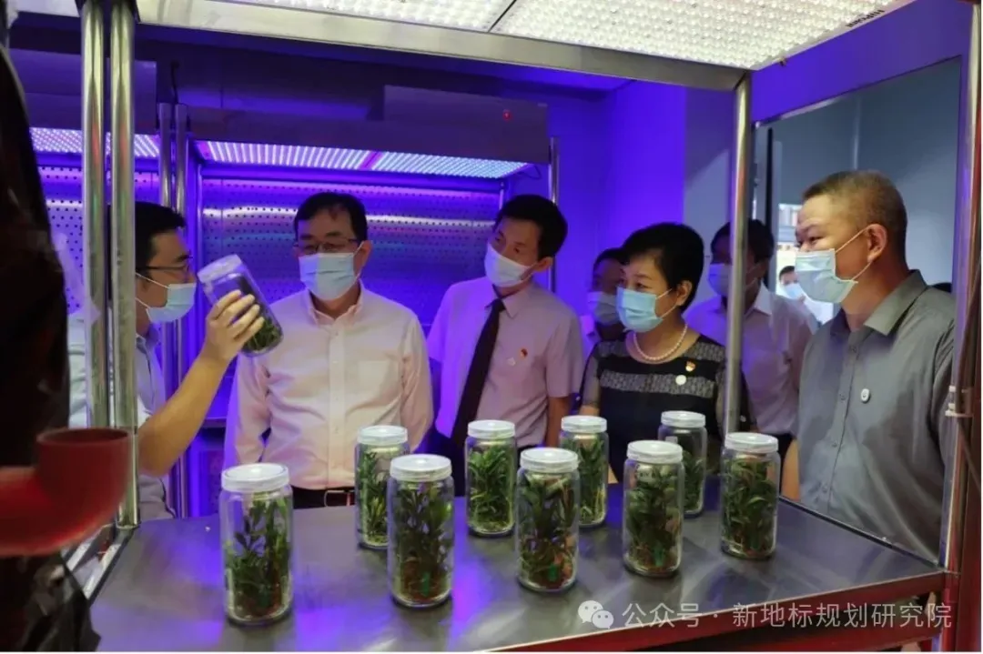 食药用花卉产业的市场前景分析