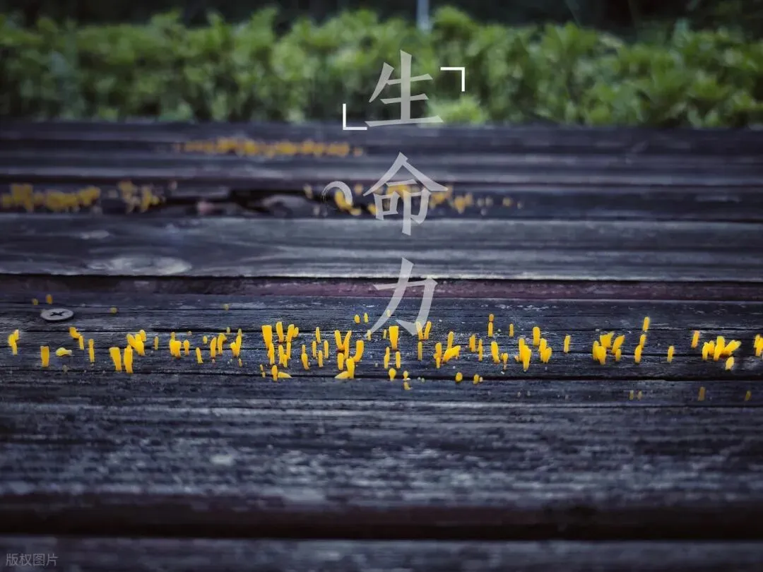 销售真正的力量–“实在”