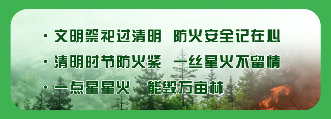 西峰区:苗木市场春意浓 “绿色消费”正升温