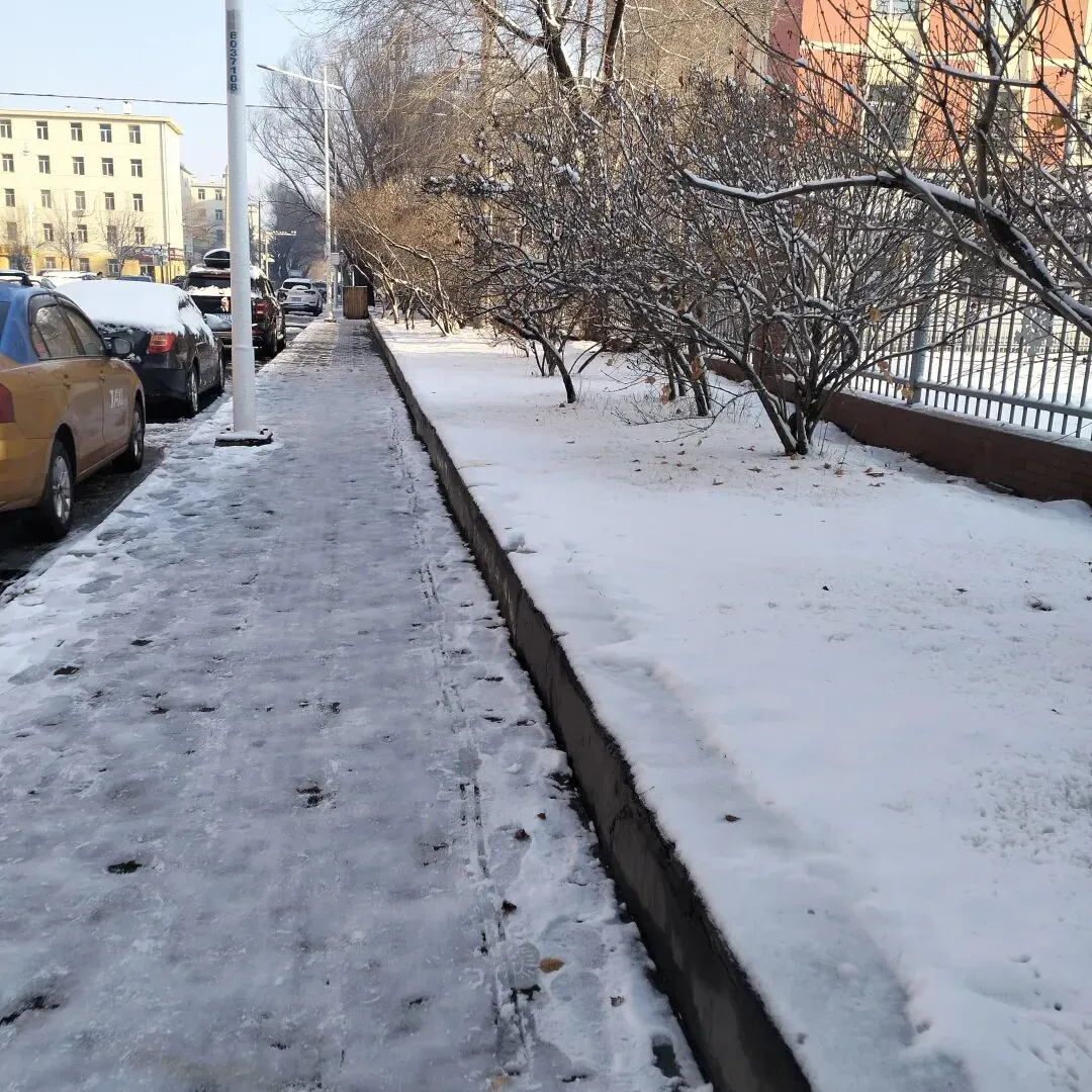 4月4日旧物市场淘书日记