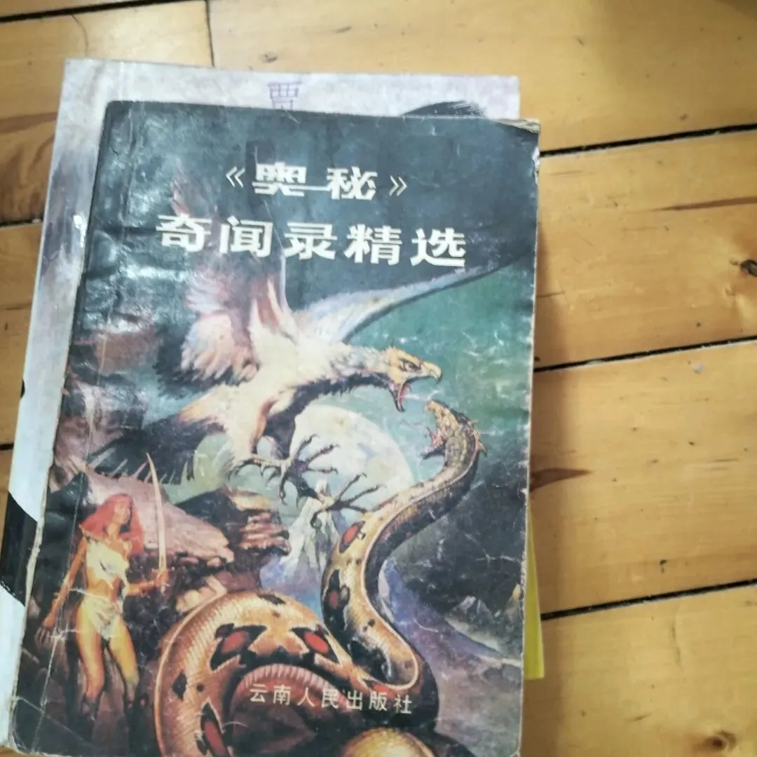 4月4日旧物市场淘书日记