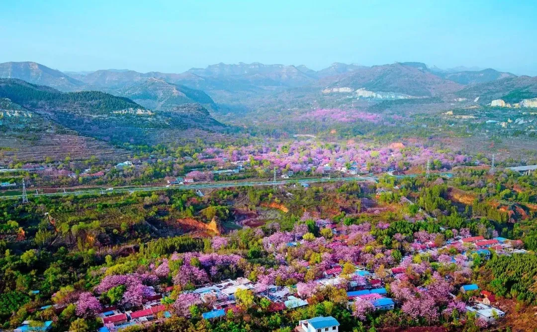 坚守岗位护平安 护航假日文旅市场——青州市文旅局开展清明假期安全生产督导检查