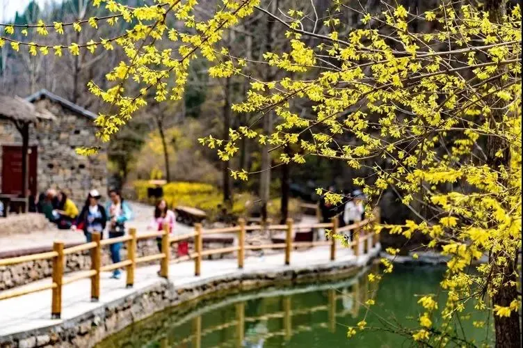 坚守岗位护平安 护航假日文旅市场——青州市文旅局开展清明假期安全生产督导检查